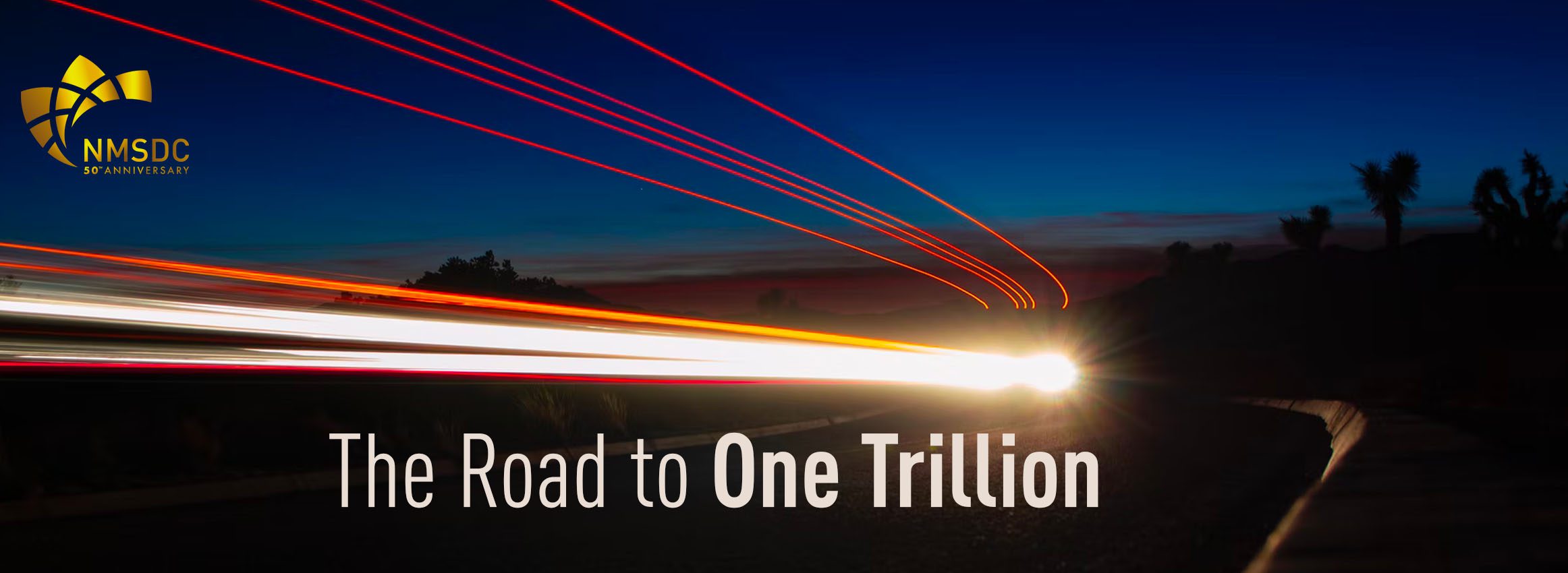 NMSDC Road to One Trillion
