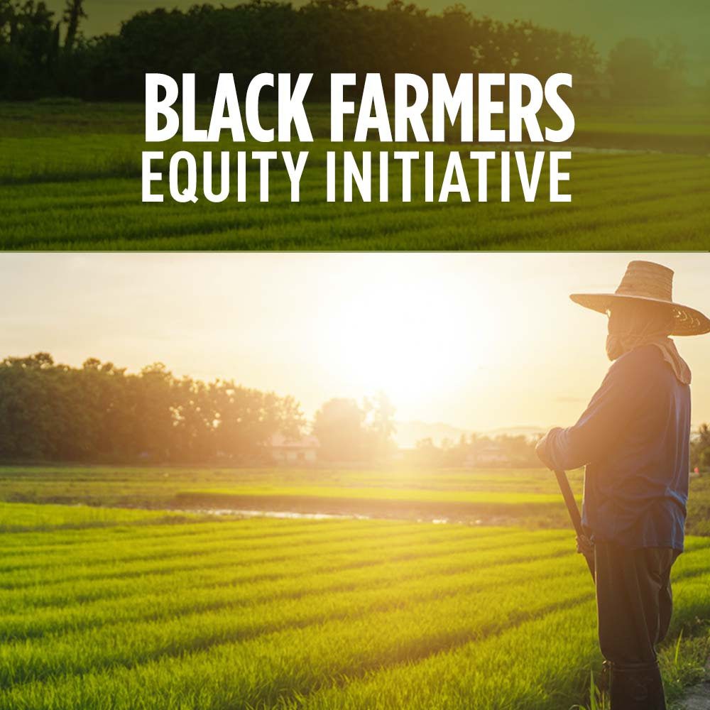 Black Farmers Equity Initiative