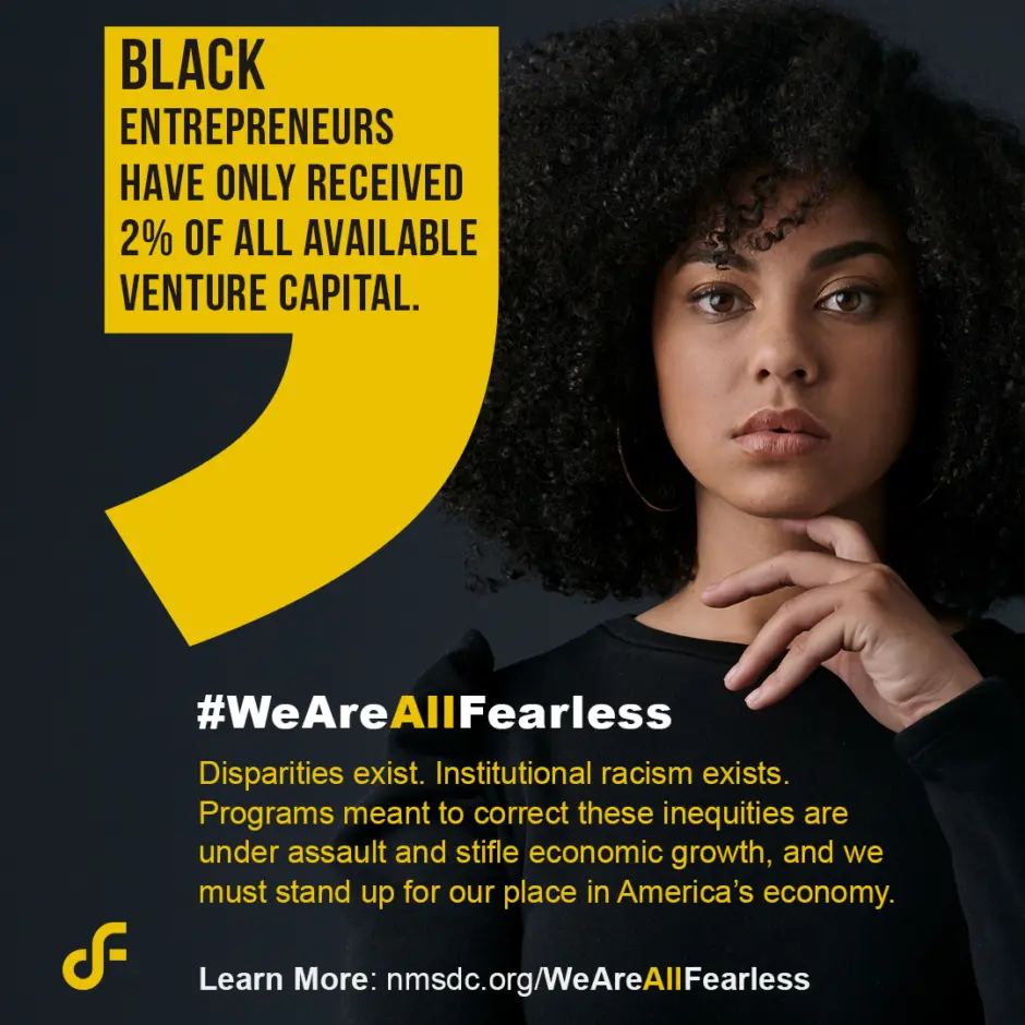 WeAreAllFearless - Stats - Black Venture Capital
