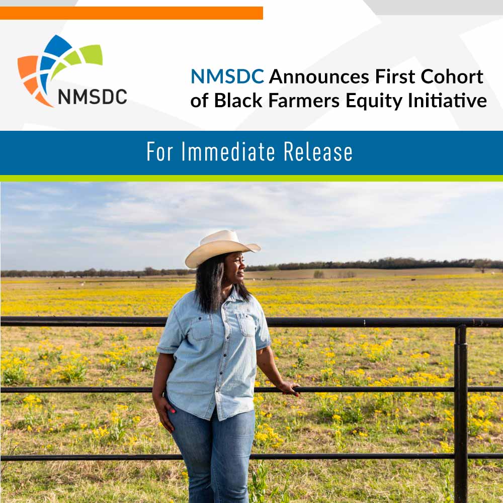 NMSDC Announces First Cohort of Black Farmers Equity Initiative