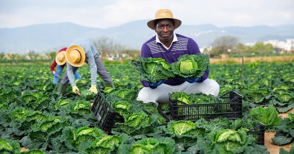 Agricultores negros Imagen de cabecera