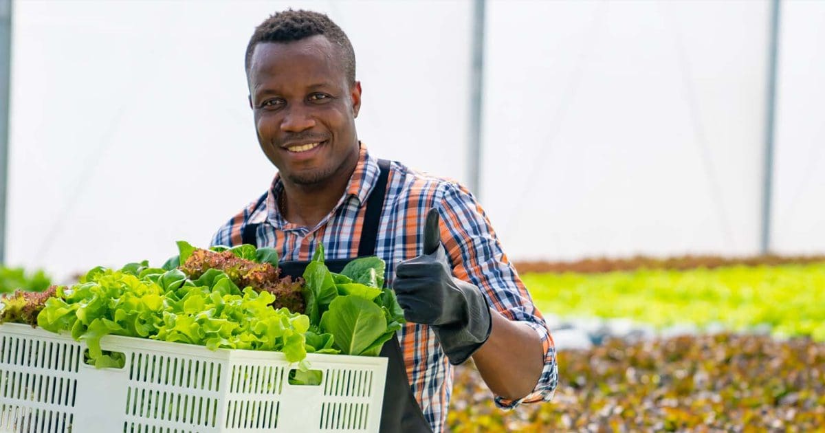 Peapod Digital Labs Seeking DiverseOwned Brands for Pitch Coaching and