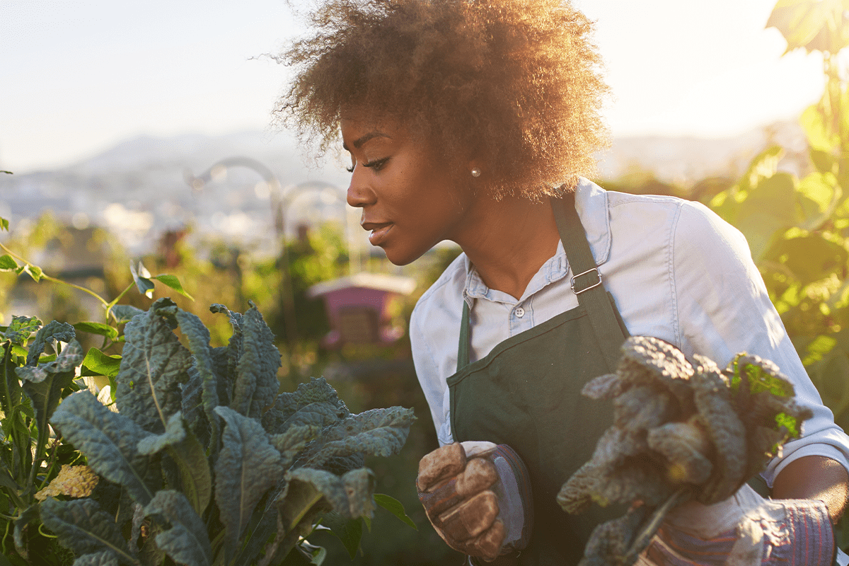 Acres Imagen de cabecera