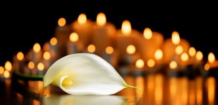 In Memoriam Header Graphic