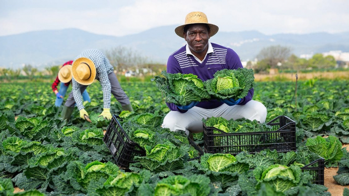 1200x630_News_Header_BlackFarmersV2 블랙 파머 헤더 이미지