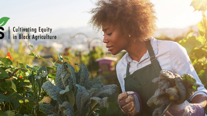 Hero-Acres Black woman wearing a white shirt and green apron in a green field of crops in the morning.