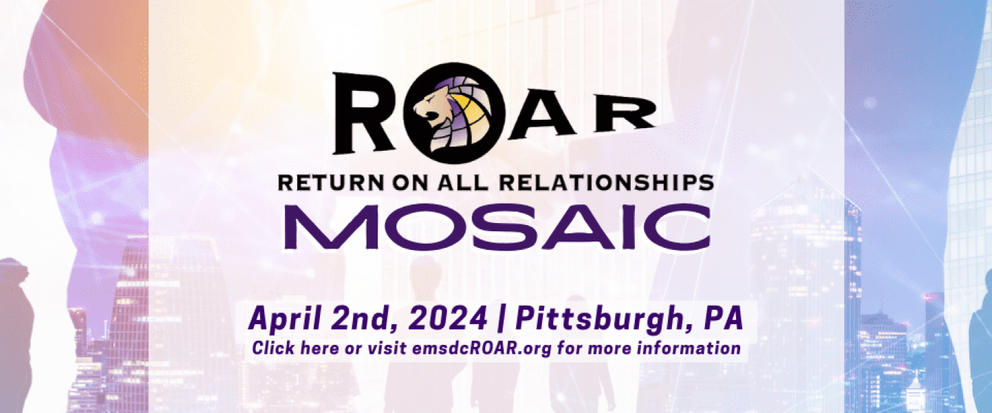 ROAR Mosaic 2024 网络横幅（1280 x 400 px）