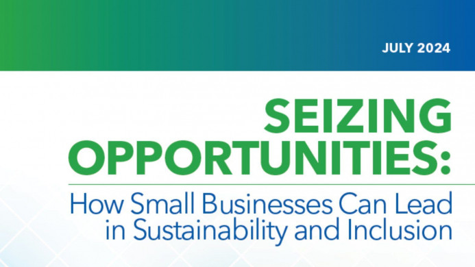 Seizing Opportunities Report Image