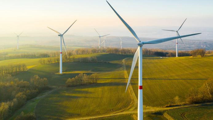 Photo of windmills on a green field.