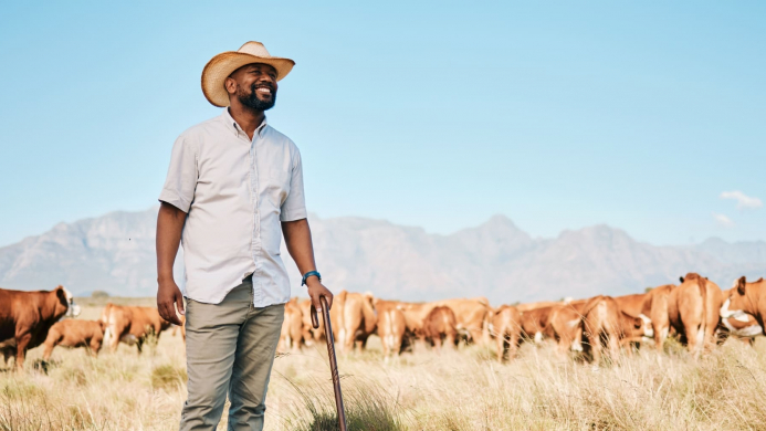 Farm,,Black,Man,And,Happy,,Cow,And,Agriculture,For,Livestock, Farm,,Black,Man,And,Happy,,Cow,And,Agriculture,For,Livestock,