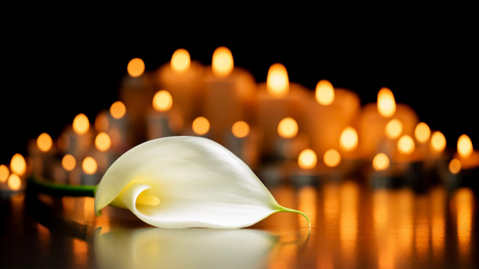 Calla,Lily,Flower,On,The,Grave,And,Blurred,Lighted,Candles In Memoriam Header Graphic